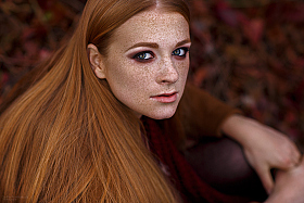 рыжая осень | Фотограф Дарья Форшакова | foto.by фото.бай