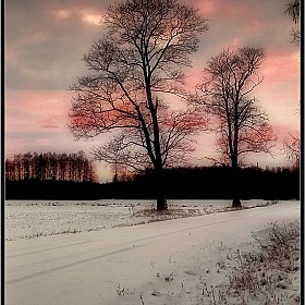 Закат. | Фотограф Виталий Федотов | foto.by фото.бай