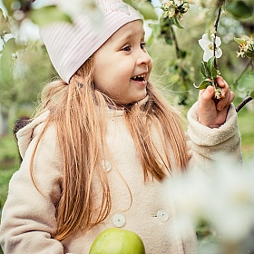 Здесь будут яблоки) | Фотограф Татьяна Майорова | foto.by фото.бай