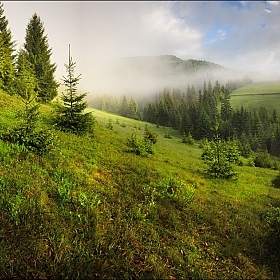 фотограф Юрий Купреев. Фотография "Утро в горах."