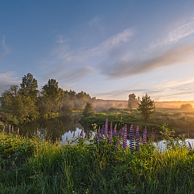 летний вечер | Фотограф Виталий Полуэктов | foto.by фото.бай