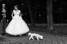 Работа фотографа Сергей Тарасов