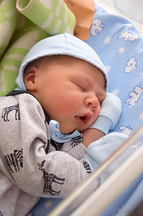 Фотограф Надежда Дудаева, фотография добавлена 06.02.2026