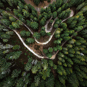Дорожка | foto.by фото.бай