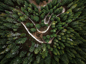 Дорожка | foto.by фото.бай