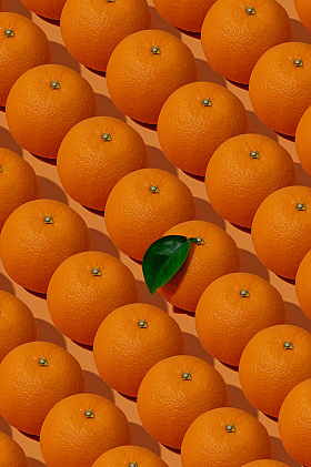 апельсин | Фотограф Александр Кузьмин | foto.by фото.бай