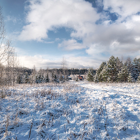 снег | Фотограф Виталий Полуэктов | foto.by фото.бай