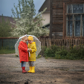 фотограф Анна Балабан. Фотография "После дождика в четверг"