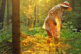 В лесу | Фотограф Роман Маисей | foto.by фото.бай