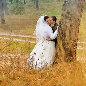 фотограф Дмитрий Мармузевич. Фотография "свадьба"