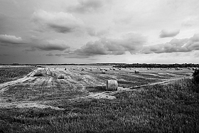 Уборка урожая | Фотограф Юлия Роговцова | foto.by фото.бай