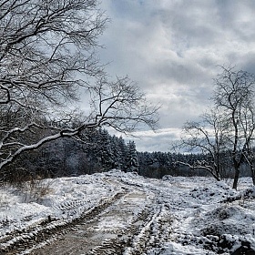 фотограф Себастьян Перейра. Фотография "А наутро выпал снег..."