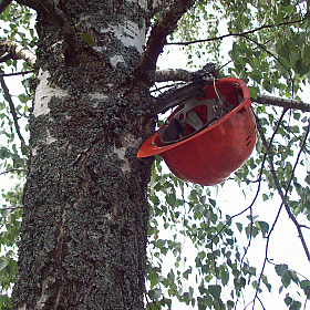 Это тебе, подруга. | Фотограф Людмила Выганная | foto.by фото.бай