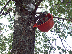 Это тебе, подруга. | Фотограф Людмила Выганная | foto.by фото.бай