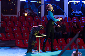 Работа фотографа Сергей Тарасов