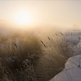 В золоте морозного тумана. | Фотограф Алексей Богорянов | foto.by фото.бай
