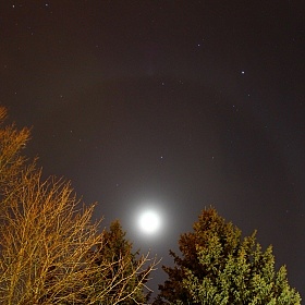 фотограф Андрей Шаповалов. Фотография "ночная луна"