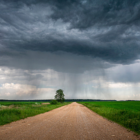 Дождик начинается