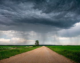 Дождик начинается | Фотограф Сергей Шабуневич | foto.by фото.бай