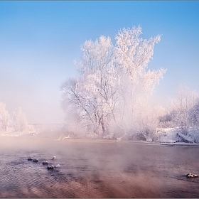 Фрагмент морозного утра..Продолжение .. | Фотограф Влад Соколовский | foto.by фото.бай
