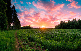 Тихо крался вечер | Фотограф Сергей Шабуневич | foto.by фото.бай