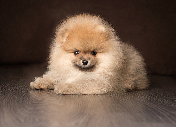 Фотограф Татьяна Скуратович, фотография добавлена 05.05.2018