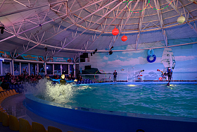 Работа фотографа Сергей Тарасов