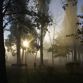 Осеннее утро | Фотограф Сергей Шляга | foto.by фото.бай