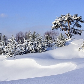 Снежные барханы | Фотограф Varvara Gvozdkova | foto.by фото.бай