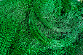 Работа фотографа Екатерина Малец