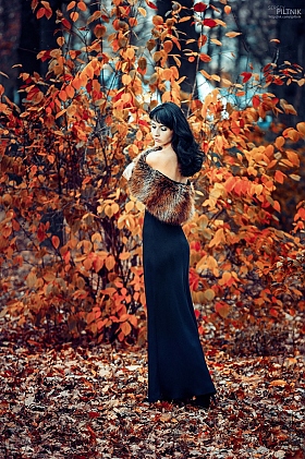 Леди осень... | Фотограф Сергей Пилтник | foto.by фото.бай
