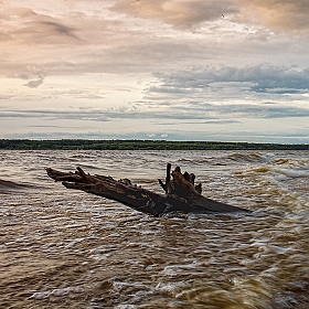 фотограф Владимир Езерский. Фотография "****"