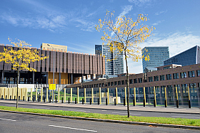 Вид на Кирхберг | Фотограф Александр Кузнецов | foto.by фото.бай