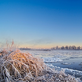 Зимним утром | Фотограф Стас Аврамчик | foto.by фото.бай