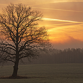 * | Фотограф Анатолий Адуцкевич | foto.by фото.бай