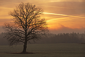 * | Фотограф Анатолий Адуцкевич | foto.by фото.бай