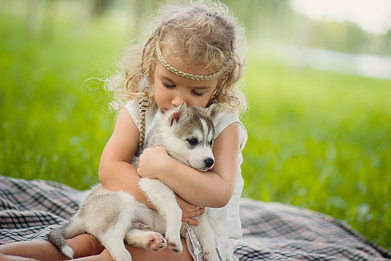 Фотограф Екатерина Клышевская, фотография добавлена 22.08.2019