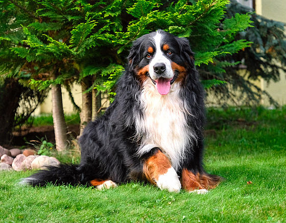 Фотограф Татьяна Скуратович, фотография добавлена 04.09.2017