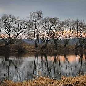 фотограф Елена Ерошевич. Фотография "река Свислочь"
