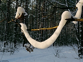 прощальная улыбка зимы | Фотограф Владислав Рогалев | foto.by фото.бай