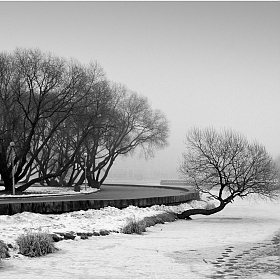 последний аккорд зимы... | Фотограф Игорь Сафонов | foto.by фото.бай