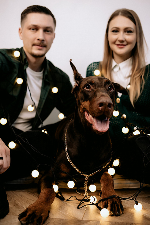 Фотограф Дмитрий Гусалов, фотография добавлена 31.12.2025