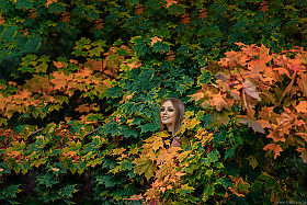 красивый листочек | Фотограф Вячеслав ШахГусейнов | foto.by фото.бай
