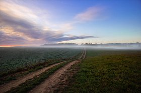 Аист над полем | Фотограф Сергей Шабуневич | foto.by фото.бай