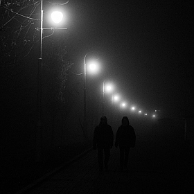 В тумане | foto.by фото.бай