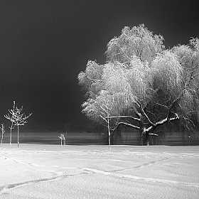 тихо падал снег | Фотограф Сергей Шляга | foto.by фото.бай