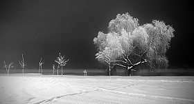 тихо падал снег | Фотограф Сергей Шляга | foto.by фото.бай
