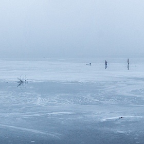 На тонком льду | Фотограф Сергей Михайлов | foto.by фото.бай