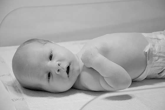 Фотограф Надежда Дудаева, фотография добавлена 06.02.2026