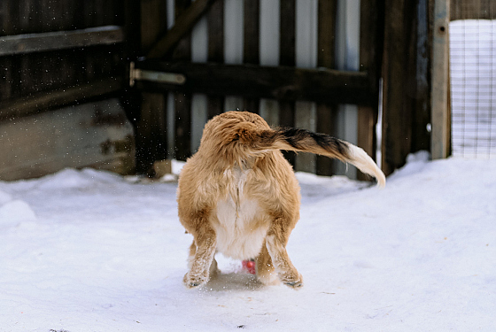 Фотограф Дмитрий Гусалов, фотография добавлена 18.02.2026